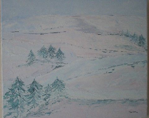 paysage neige 